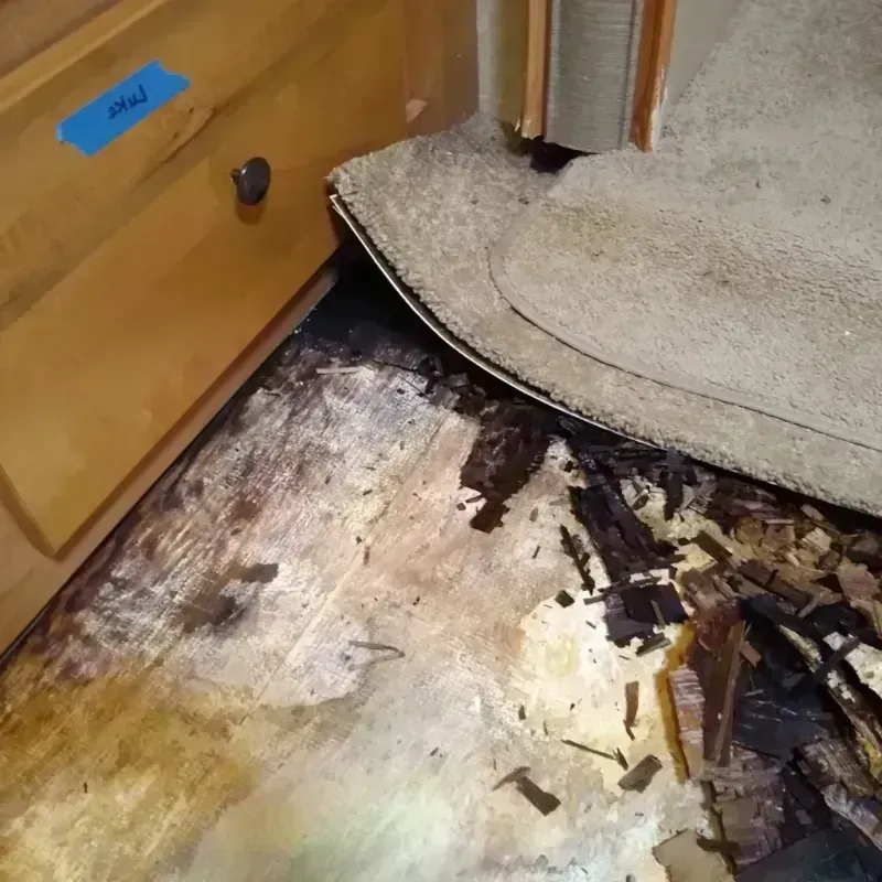 Wood Floor Water Damage in West Raleigh, NC